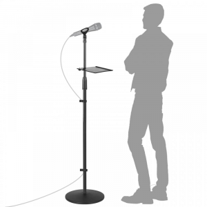 Microphone Techniques