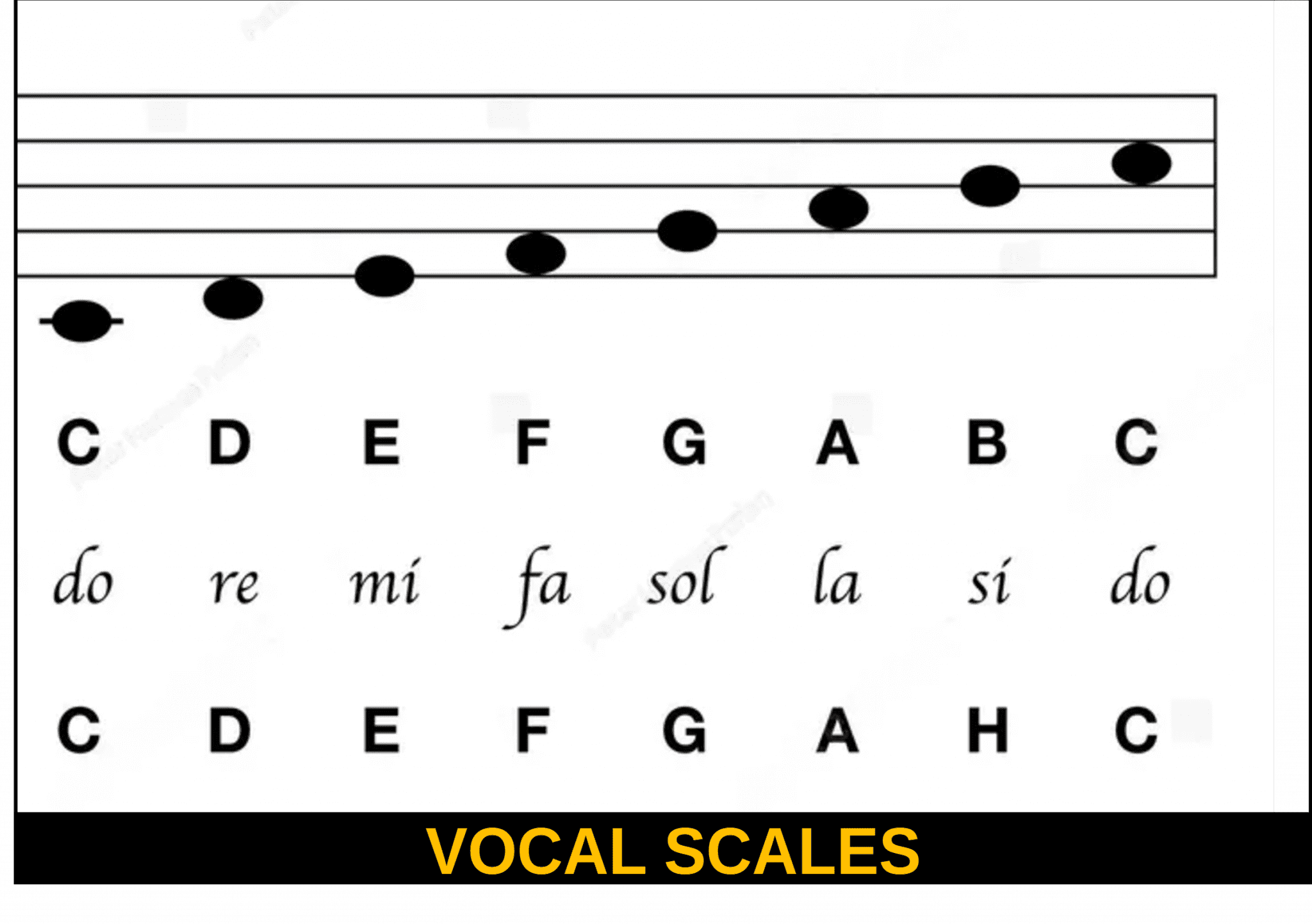 Vocal Scales