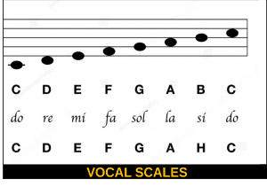 Vocal Scales