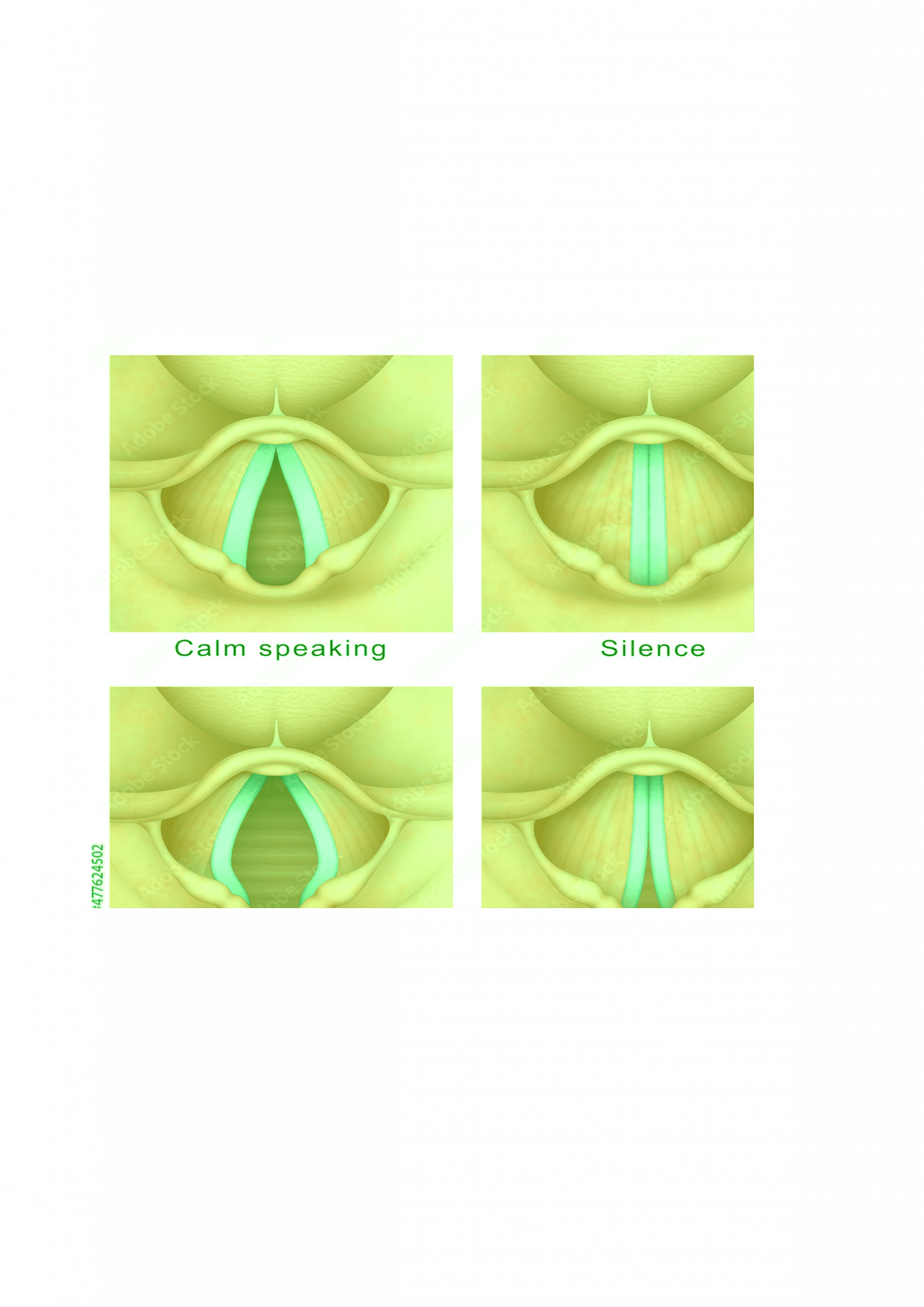 Vocal Health & Care