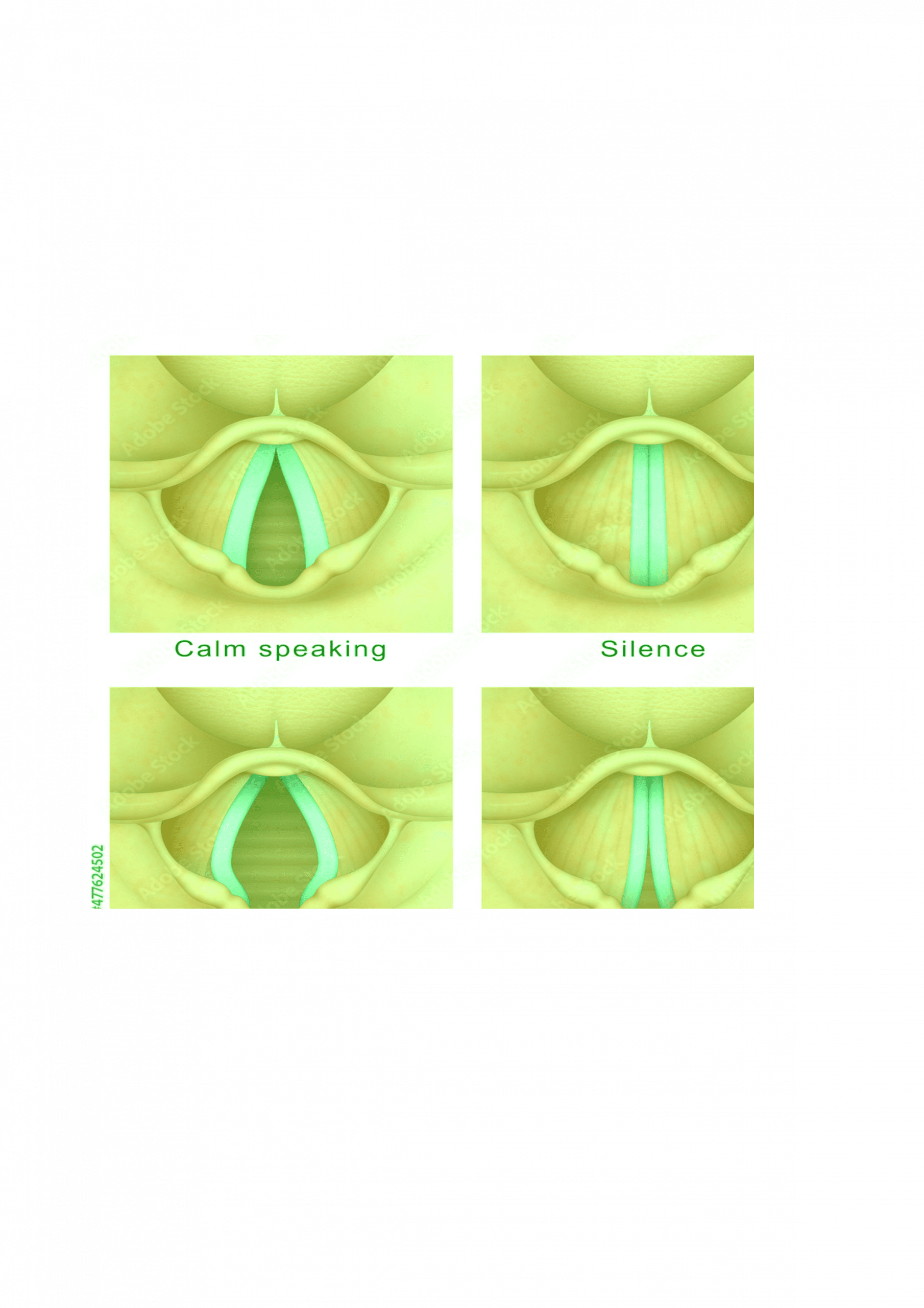 Vocal Health & Care