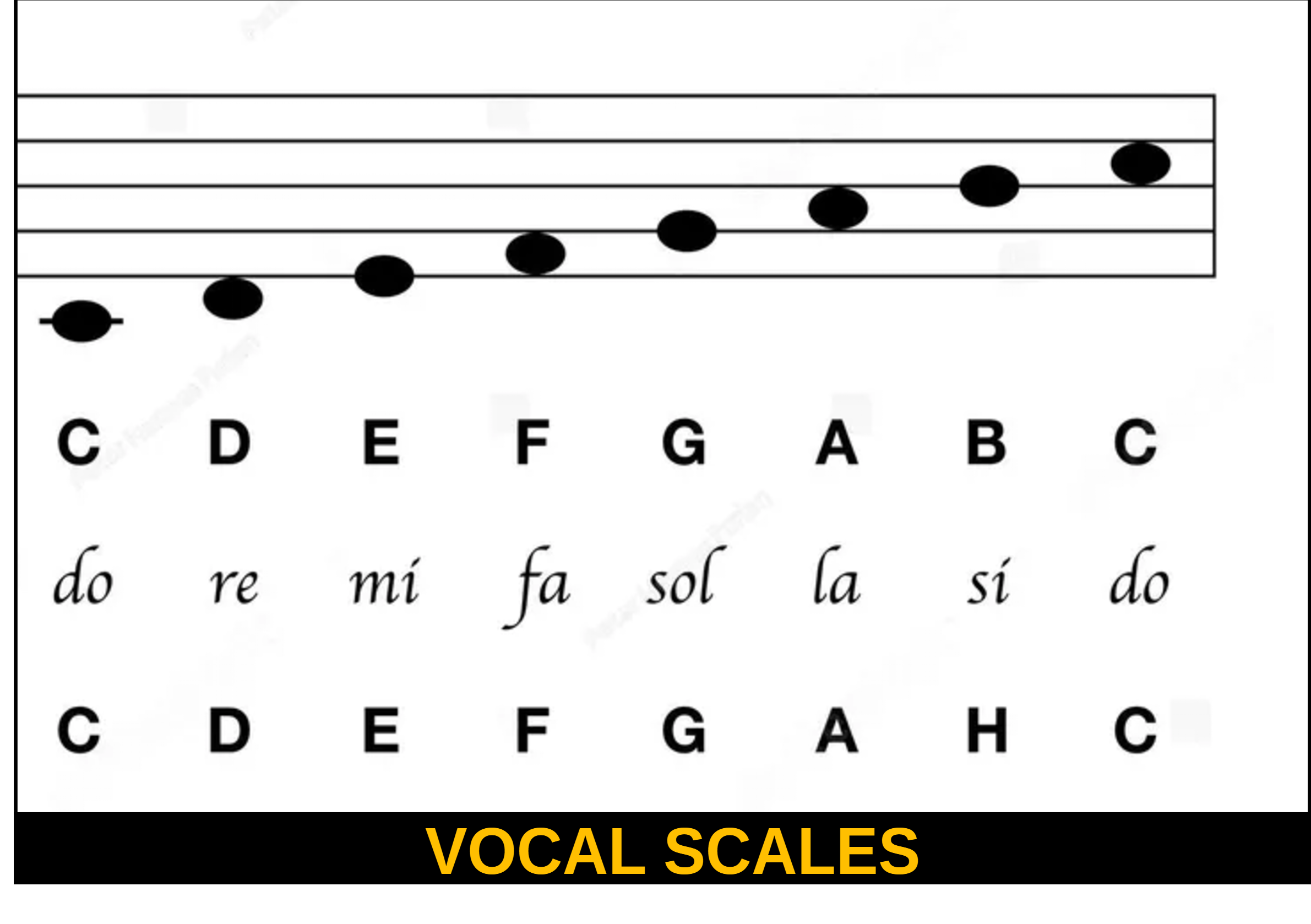 Essential Vocal Scale Exercises for Singers