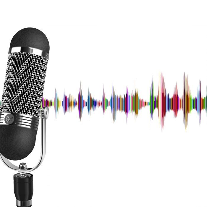 Vocal Insights 2
