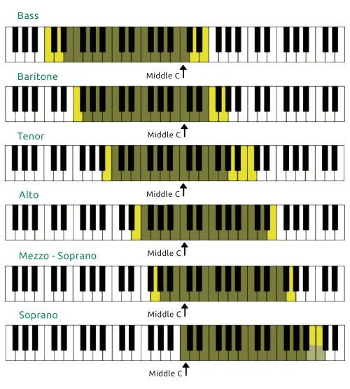 How can I improve my vocal range?